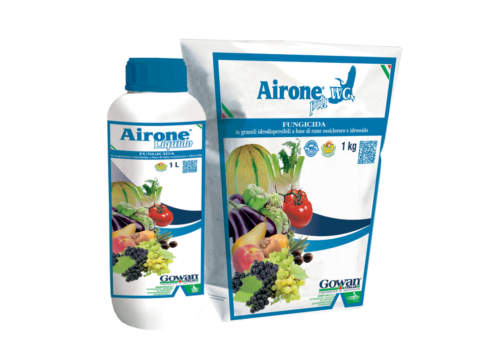 airone