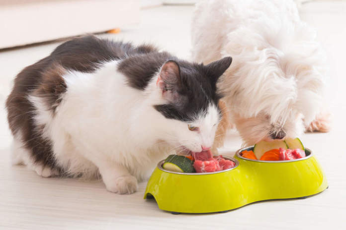 cure e alimenti di qualità per gli animali domestici