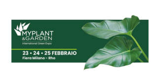 Myplant & Garden